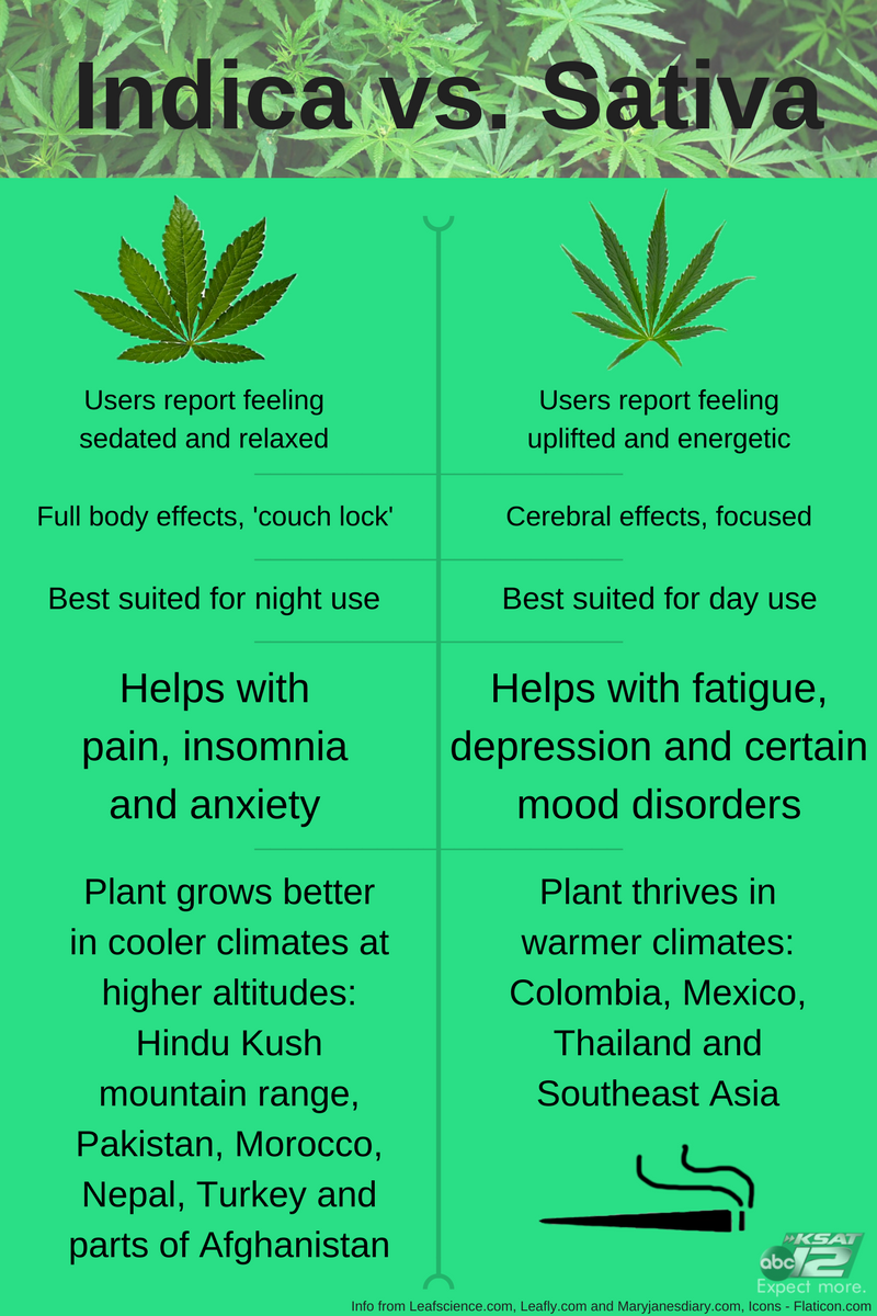 Medical Marijuana Glossary